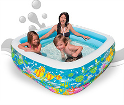 Swimming pool and Accessories-ShopClues