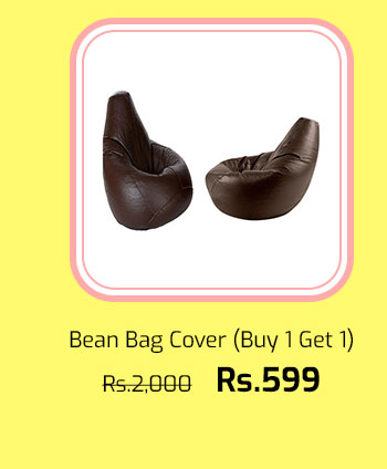 Bean Bag Cover