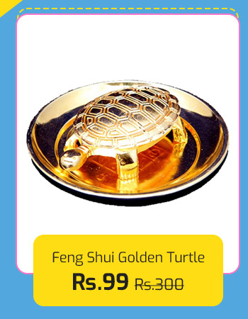 Feng Shui Turtle