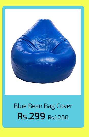 Bean Bag Cover