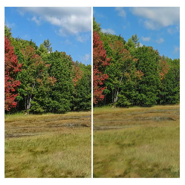 HDR HDR