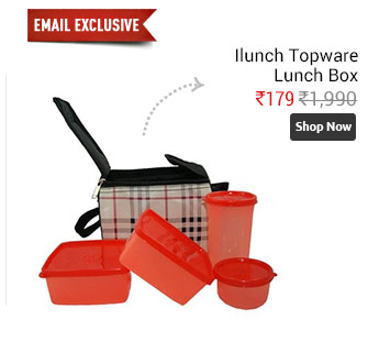 Ilunch Topware Lunch Box (Check Design) Food Grade Containers Insulated Bag (4 Pcs.)  