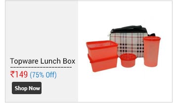 Topware Lunch Box (Check Design) Food Grade Containers Insulated Bag (4 Pcs.)  