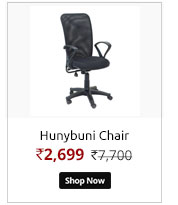 Hunybuni Excellence Comfort Chair  