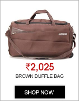 American Tourister Brown Duffle Bag - 40X003031