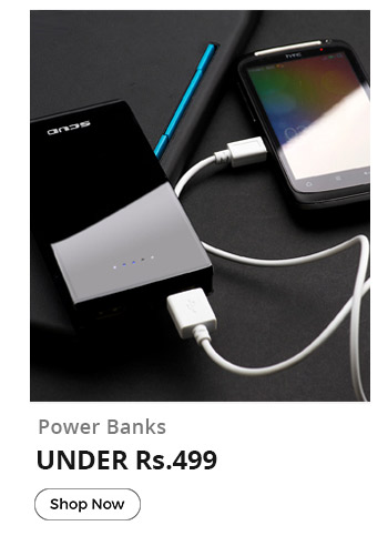   Powerbanks Special  