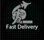 Fast Delivery