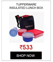 Tupperware Insulated Lunch Box