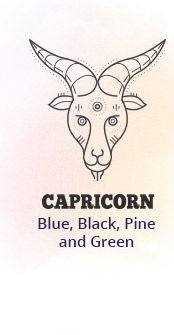 Capricorn 