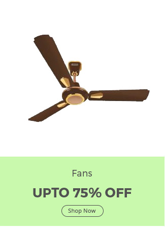   Fans Big Sale  