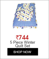 5 Piece Winter Quilt Set for Kids