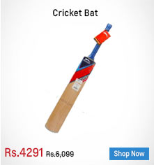 Cricket Bat English Willow - Slazenger V500 CLUB