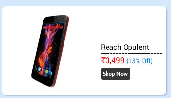 Reach Opulent (8GB, 5' Screen) With Free Flip Cover                      