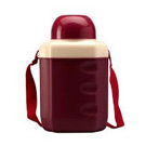 Insulated Water Bottle for kids-500 ml
