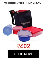 Tupperware Insulated Lunch Box