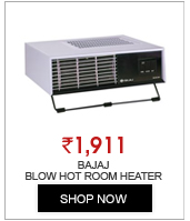 Bajaj Blow Hot Room Heater