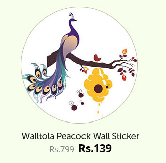 Walltola Peacock Wall Sticker