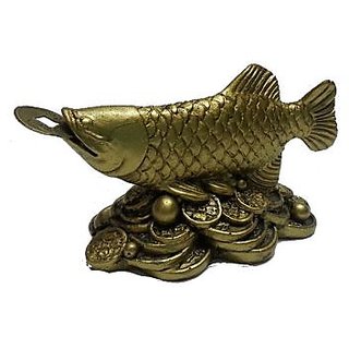 Arowana is the most expensive aquarium fish in the world ...