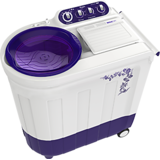 Whirlpool Ace 7.2 Stainfree 7.2 kg Semi Automatic Washing Machine (Flora Purple)