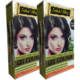Indus Valley Organically Natural Gel Black 1.00 Permanent Hair Color - One Touch Pack - Twin Set