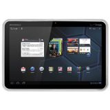 Amzer Luxe Argyle High Gloss TPU Soft Gel Skin Case - Clear for Motorola XOOM