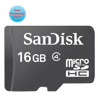 SanDisk 16GB Micro SDHC Card
