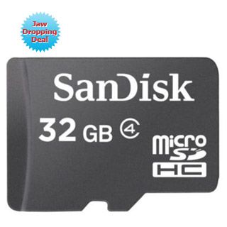 SanDisk 32GB Micro SDHC Card