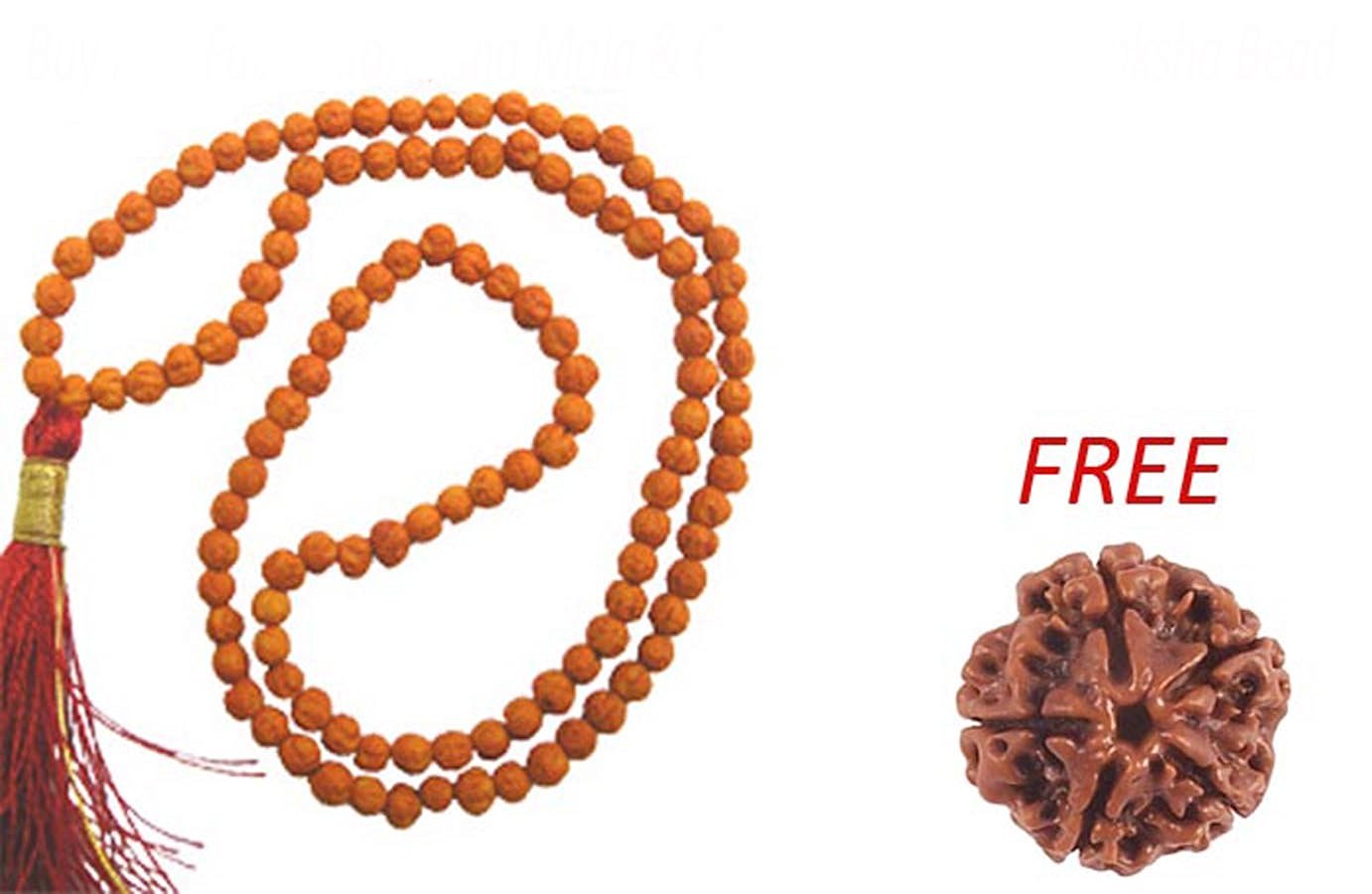 Buy Original Real Mukhi Rudraksha Mala For Jaap Mukhi Rudraksha