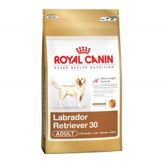 Royal Canin Labrador Adult 12 Kg