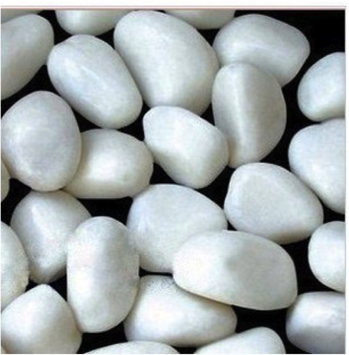 Buy 5 Kg Pebbles For Planter Plant Online