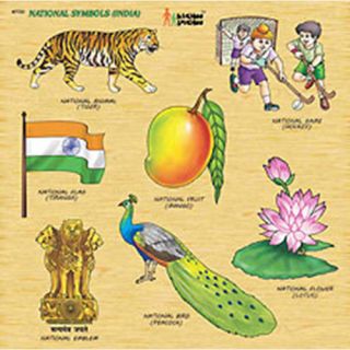 Funzoo Liftout Puzzle-National Symbols India (Big) | Buy Toys Online In ...