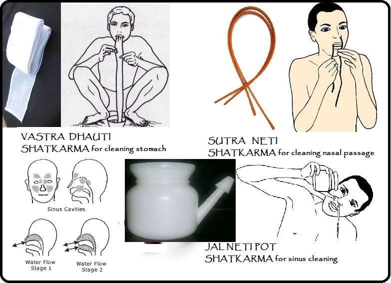 Plastic Jala Neti Pot In India - Shopclues Online