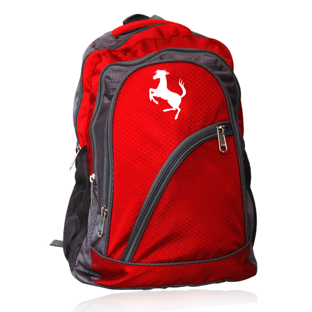 Buy College Bags Laptop Bag School Bag Classes Bag Tuition Coaching Bag