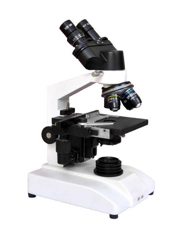 Buy SF 40B Series Binocular Compound Microscope Online ₹8600 from