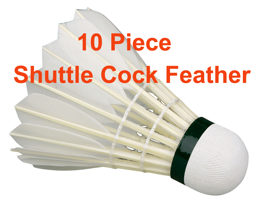 Buy Shuttlecock Feather 10 Piece Online ₹230 from ShopClues