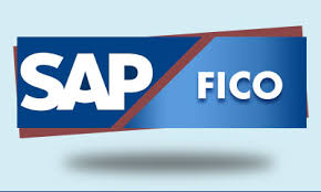 Buy SAP FICO Video TUTORIAL Online @ ₹5000 from ShopClues