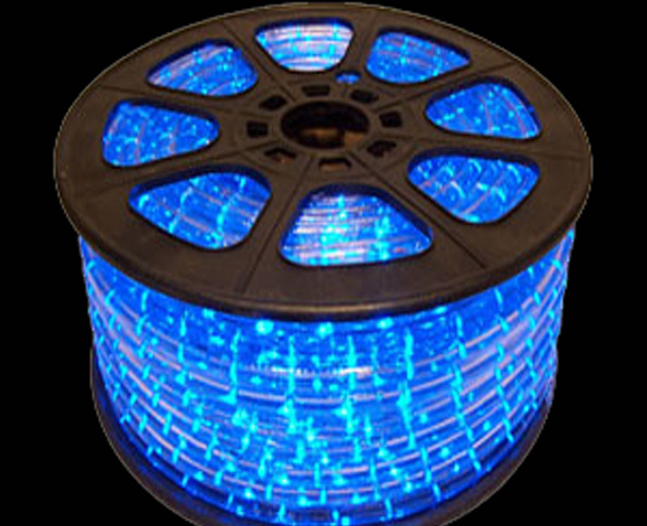 Buy Round Pipe Rope light 50 meter LED Rice Light for Decoration- with ...