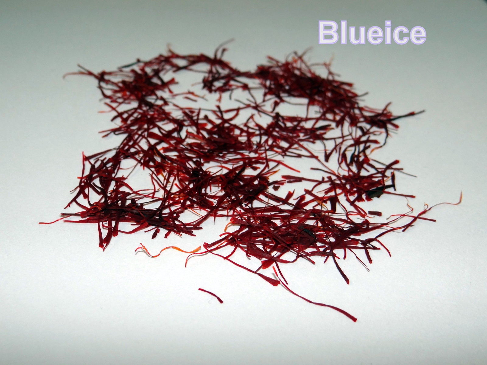 Saffron Kesar 100 Guaranteed Pure Kashmiri Saffron Export Quality 1