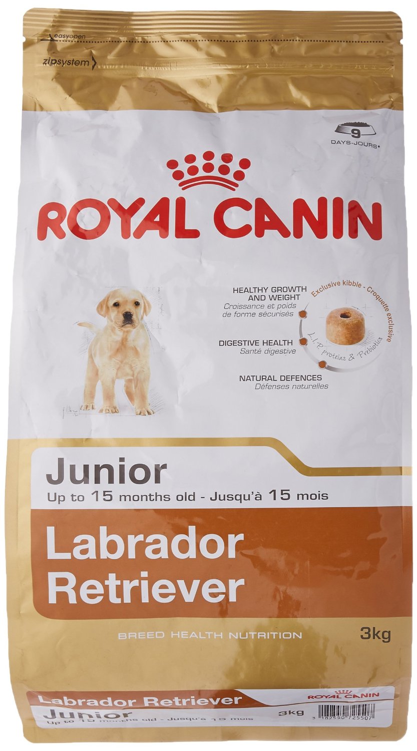 Buy Royal Canin Labrador Junior Health Nutritional Dog Food, 3 kg Online ₹2300 from ShopClues