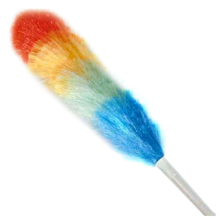 Long Handle Duster Cleaner Dust Remover for Car & Home