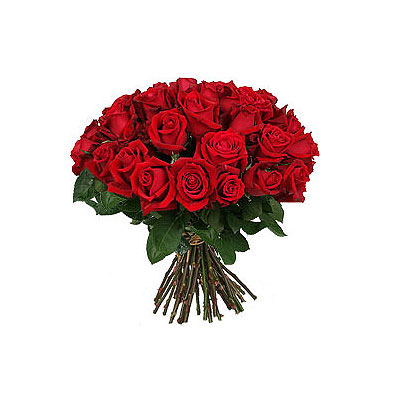 Hand Bunch of 24 Fresh Red Roses Flower Gift -275