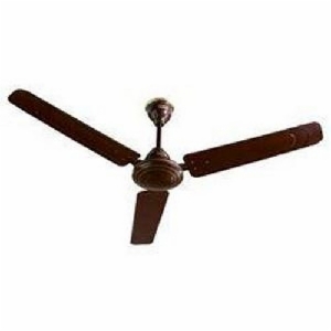 Khaitan euro 42" Ceiling Fan
