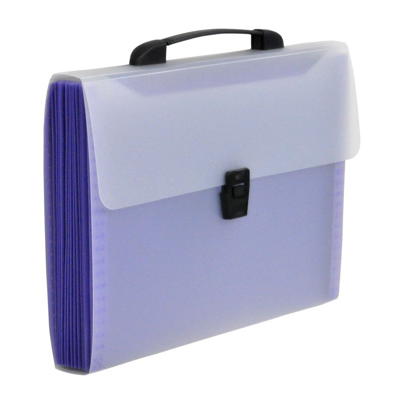 Buy Expanding File Folder ( Lock And Handle) Online ₹299 from ShopClues