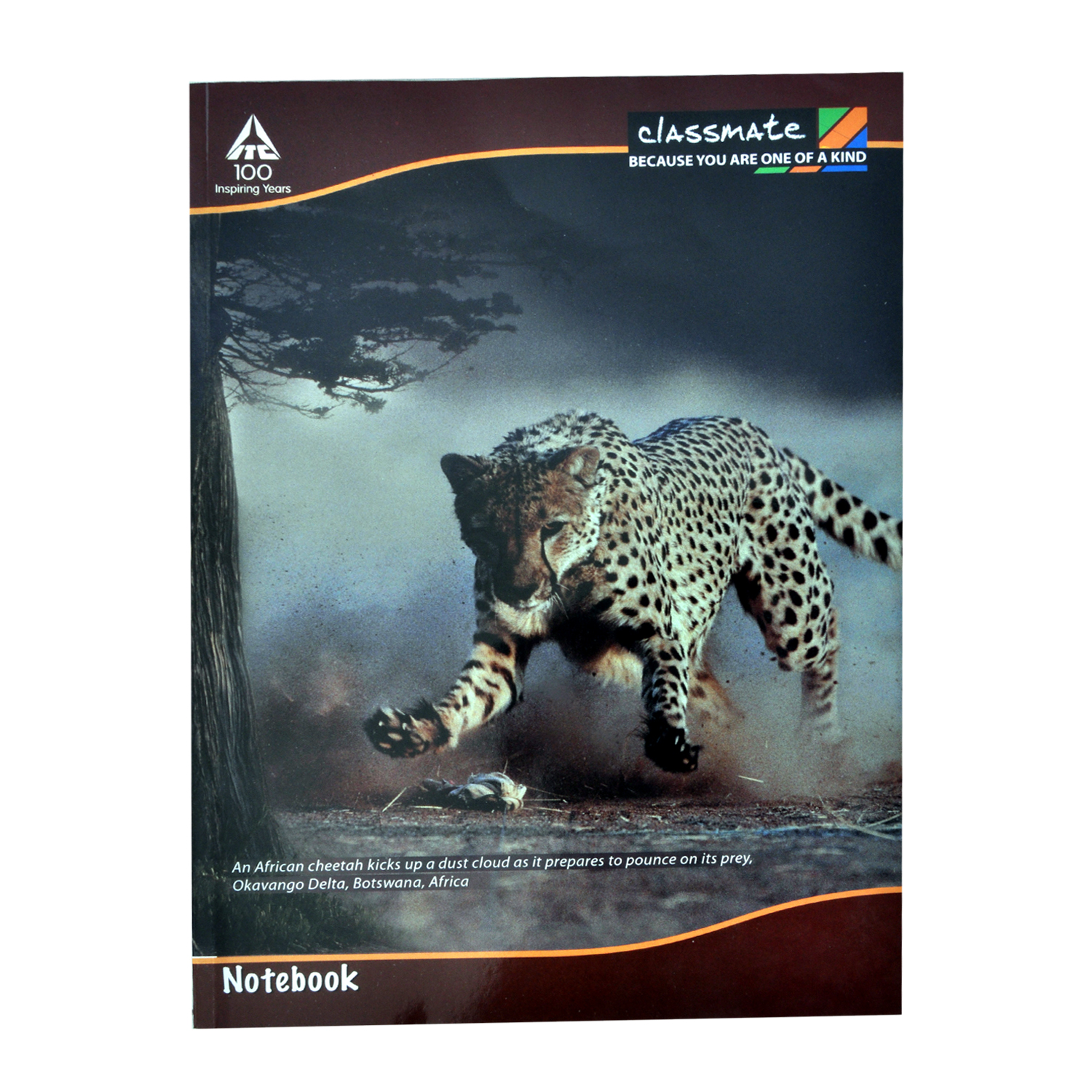 Buy Classmate A4 Notebook Unruled, 240 Pages Online ₹64 from ShopClues