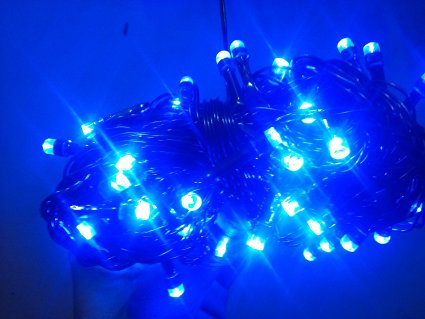 Buy Brand New Blue colour Rice lights Serial bulb decoration light for ...