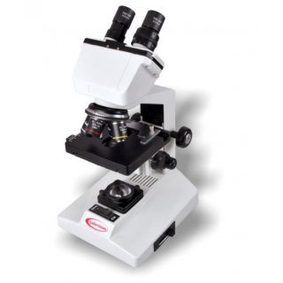 Buy Labovision Model Kl B Binocular Compound Microscope Online From Shopclues