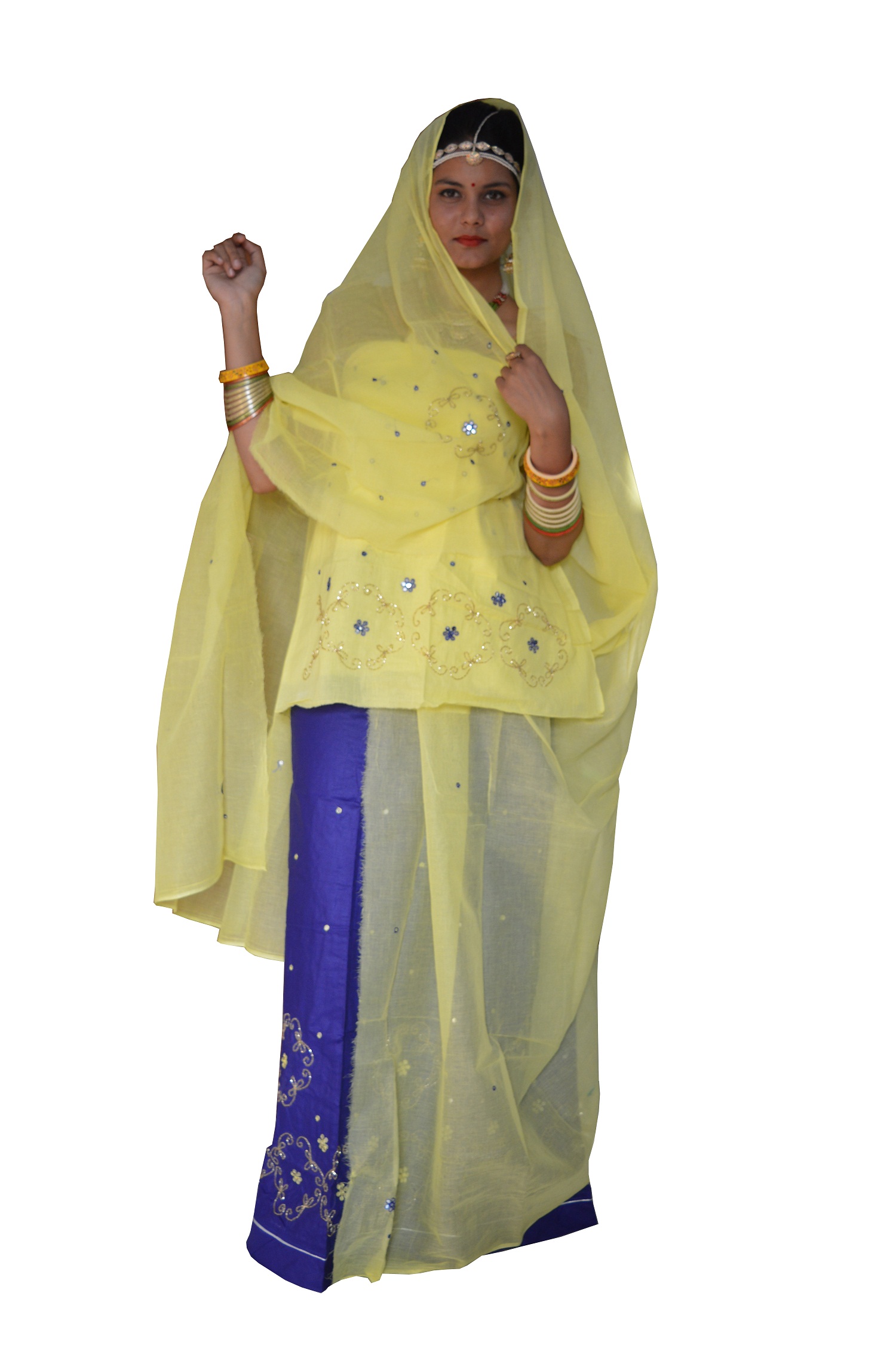 cotton rajputi poshak