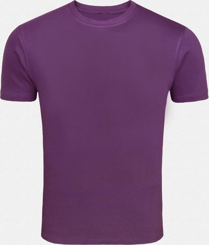 Solid Violet Tshirt