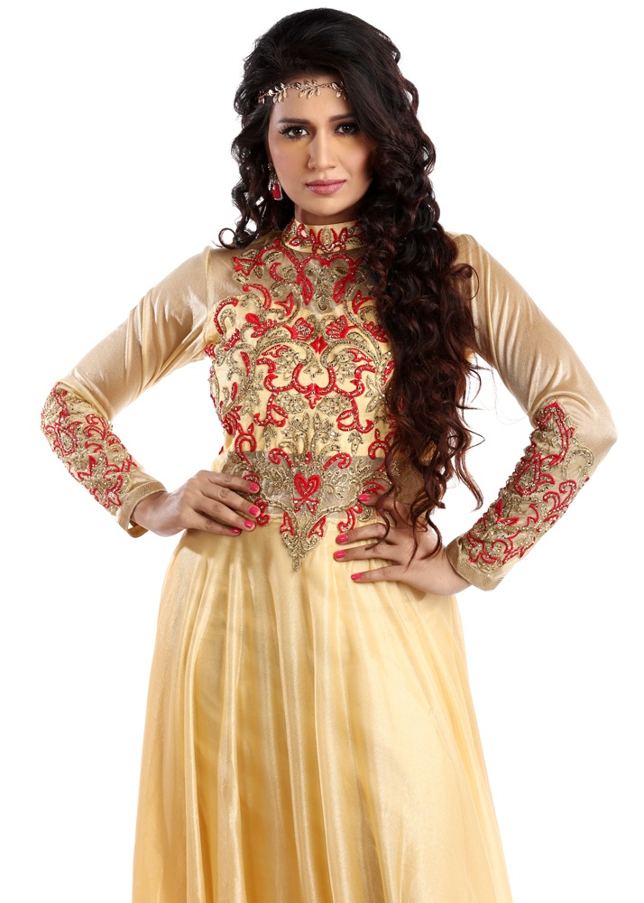 net embroidery gown