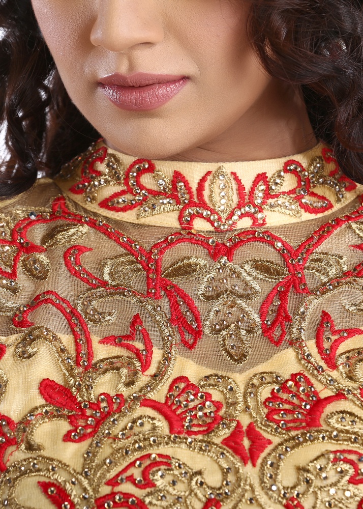 net embroidery gown